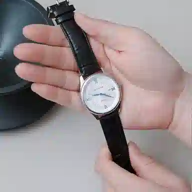 Sea-Gull E6001+E6001L