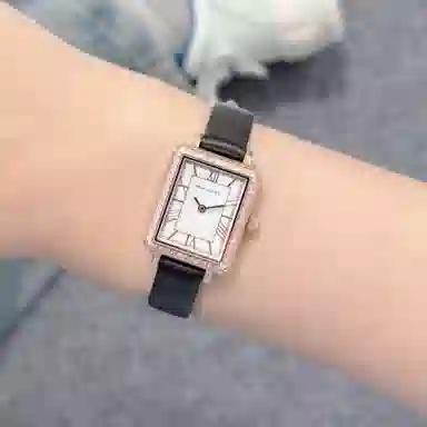 Sea-Gull 520.17.E1004LB