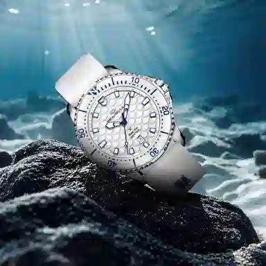 Sea-Gull PRO 811.52.1216