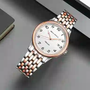 Sea-Gull 217.13.6152