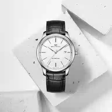 Sea-Gull 819.12.1049