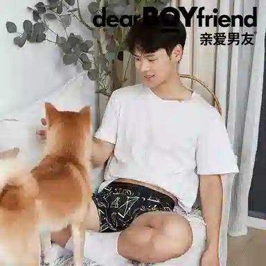 亲爱男友 恒温动物潮流袜冰丝平角短裤 男款 黑色