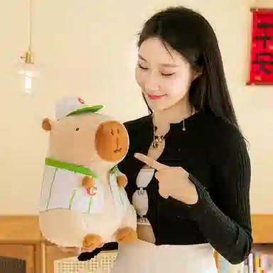 22cm35cm45cm55cm68cm