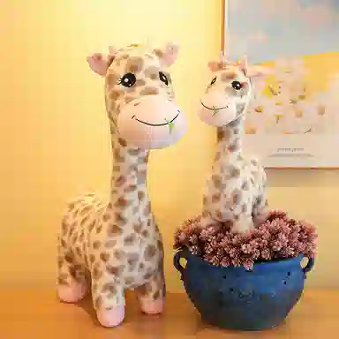 kakadream