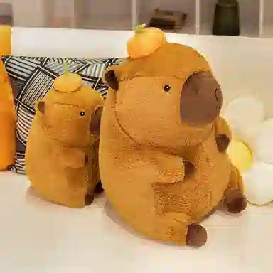 kakadream 40cm60cm