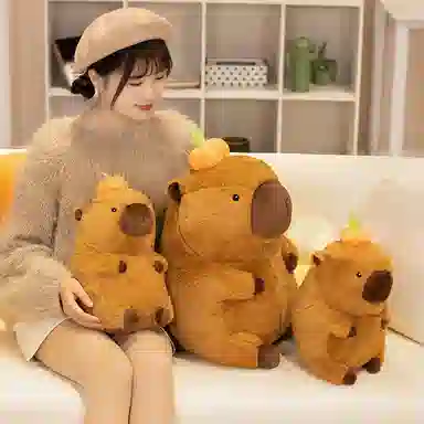kakadream 40cm60cm