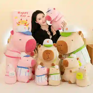 22cm35cm45cm55cm68cm