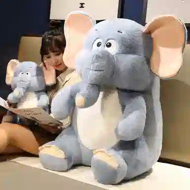 kakadream