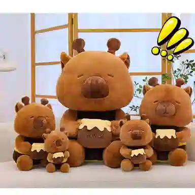 25cm30cm40cm50cm80cm