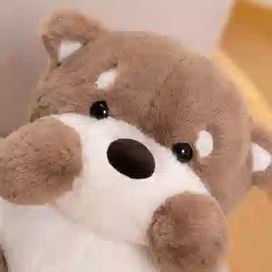 21cm30cm45cm60cm80cm