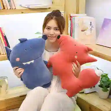 kakadream