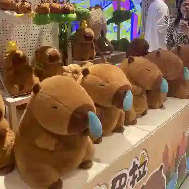kakadream 70100150CM