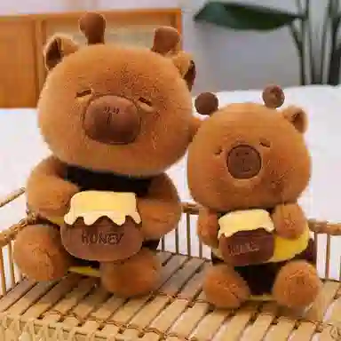 25cm30cm40cm50cm80cm