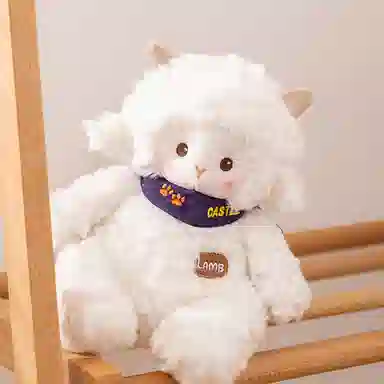 23cm