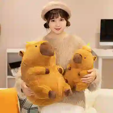 kakadream 40cm60cm