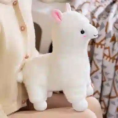 kakadream 25cm35cm