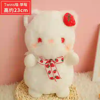 23cm