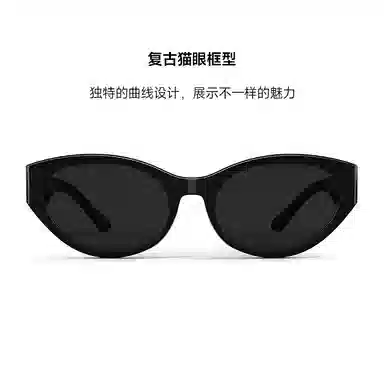 Veeshine Retro Sunglasses
