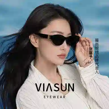 Veeshine Retro Sunglasses