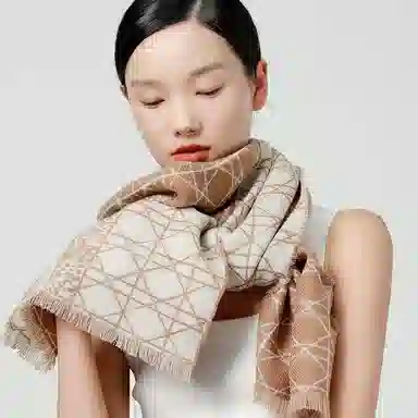 丝界 时尚双面提花经典百搭羊毛 绒线围巾 女款