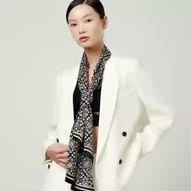 丝界 经典时尚百搭通勤真丝领巾百变 丝巾 女款