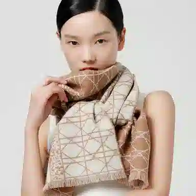 丝界 时尚双面提花经典百搭羊毛 绒线围巾 女款