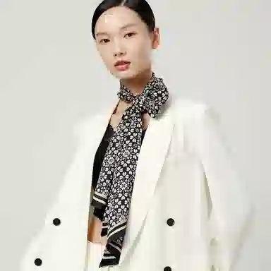 丝界 经典时尚百搭通勤真丝领巾百变 丝巾 女款