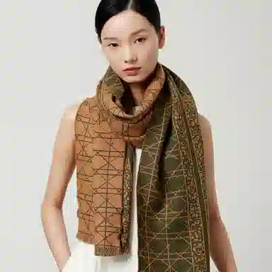 丝界 时尚双面提花经典百搭羊毛 绒线围巾 女款