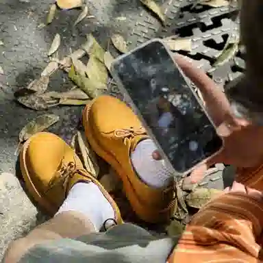 Beau Today Derby Shoes Black