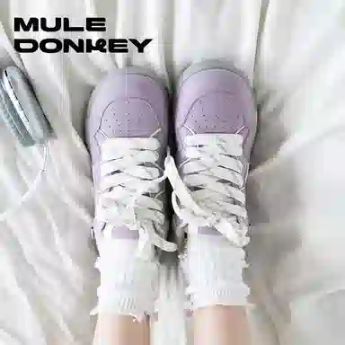 Mule Donkey