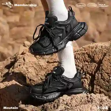 Mule Donkey