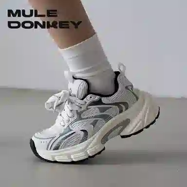 Mule Donkey