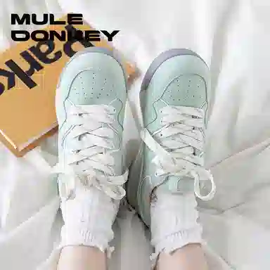 Mule Donkey
