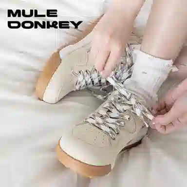 Mule Donkey