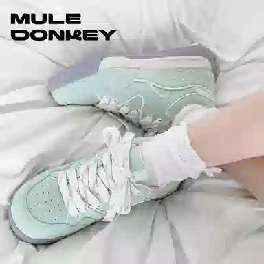 Mule Donkey