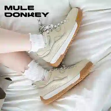 Mule Donkey