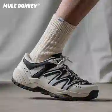 Mule Donkey