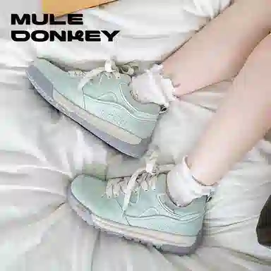 Mule Donkey