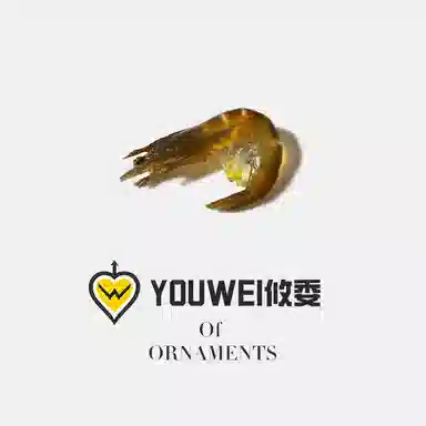 ins