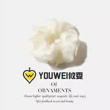 【超仙纯色网纱】 攸委 高级感精致大肠圈气质女孩扎头发简约温柔 绢纱 发圈百搭日常女生丸子头头饰 女款