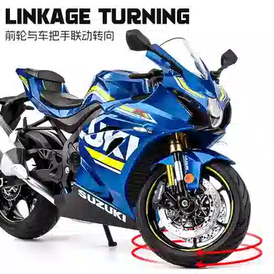 FEN JIE GSX-R1000 19