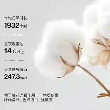 CABRAKALANI CabraKalani7A4