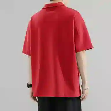 AMBER LIGHT POLOPolo