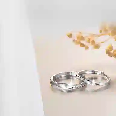 DAISY BEAUTY ins 925