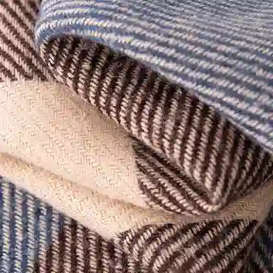 DAISY BEAUTY 2025 100