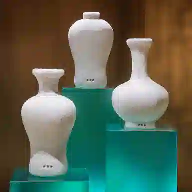 43cm45cm48cm23cm24cm