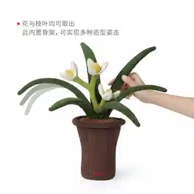 43cm
