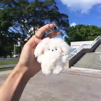 Jinnew 8cm