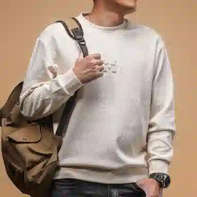 季言 男士轻奢高级感圆领百搭潮牌刺绣休闲套头上衣秋装外套男卫衣 男款