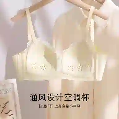 浪莎 薄款透气胸聚拢收副乳防下垂无钢圈蕾丝文胸